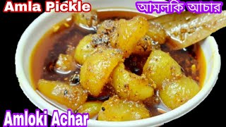 Amla achar Homemade Amloki acharHow to make Amla PickleTok jhal misti amloki achar jive swad fere [upl. by Googins]