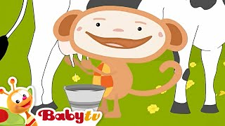 Oliver  Milking a Cow 🐄  Cartoons BabyTV [upl. by Thormora101]