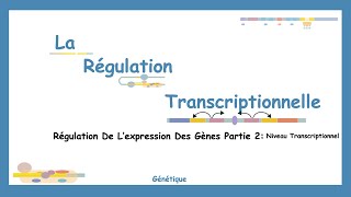 De LADN À LARN Comprendre Les Mécanismes De La Régulation Transcriptionnelle [upl. by Emerson]