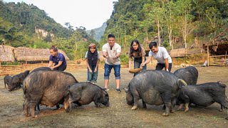 Worlds First Discovery Vlog To Visit Ly Thi Ca Farm amp Residence [upl. by Wons]