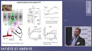 JRS  Approches croisées de l’obésité  Satiété obésité par Serguei Fetissov [upl. by Duthie984]