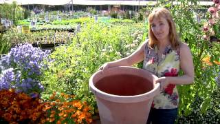 Container Gardening 101 [upl. by Lionel]