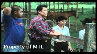 Tatlong Baraha  Part 58 2006 Movie  Lito Lapid Mark Lapid Maynard Lapid [upl. by Fleda]