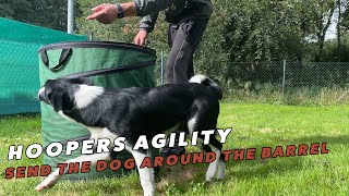 Hoopers Agility send the dog around a barrel [upl. by Jeminah243]