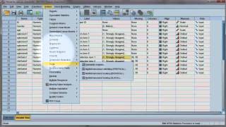 Reliability test Compute Cronbachs alpha using SPSS [upl. by Jeri811]