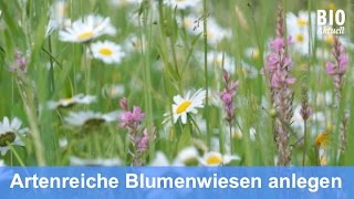 Anlegen einer Blumenwiese Dez 2015 [upl. by Ruperto413]