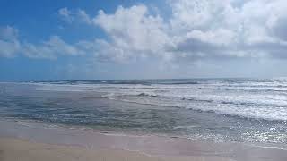 Fraser Island Eastern Beach Weed Jan 2024 [upl. by Carrnan]