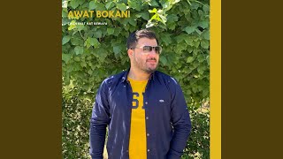 Awat Bokani  Chon Dllt Hat Bewafa [upl. by Lili]