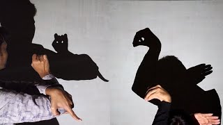 Hand shadow Performance  Amazing video [upl. by Anelhtac]