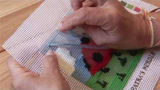 How To Do Needlepoint With Wool [upl. by Eronel865]