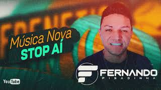 FERNANDO PISADINHA  MÚSICAS NOVAS 2K24 [upl. by Tedman]