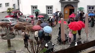 Viehscheid stört Hochzeit in Bad Hindelang [upl. by Theta]