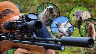 25 cal Air Rifle Catch and Cook The Movie [upl. by Fergus]