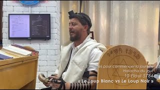 3MN DE TORAH POUR COMMENCER LA JOURNÉE  LE LOUP BLANC VS LE LOUP NOIR [upl. by Ennahteb573]