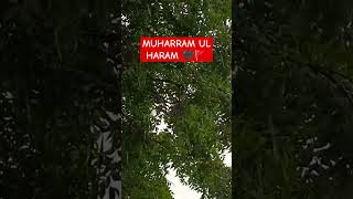 MUJH PEY KIUN BAND KARTY HO PANII KIYA MUHAMMAD KA NAWASA NHI HUN 🚩🥺✨ muharram youtubeshorts [upl. by Inej]