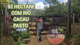 52 Hectare A Venda em Ilhéus BA 15 Hectare de cacau Rio dentro da propriedade escriturada 850 Mil [upl. by Netneuq]