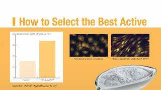 How to Select the Best Active [upl. by Zenda]