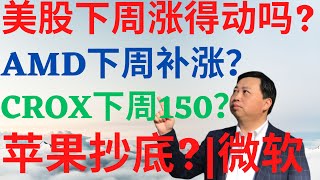 美股811美股下周还涨得动吗AMD下周补涨吗CROX下周能到150吗苹果能抄底吗如何抄底微软 amd msft crox aapl drmikeinvest 美股分析 ai [upl. by Ainattirb440]