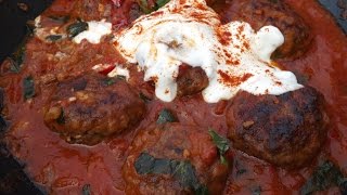 How To Cook Venison Venison Meatballs sour cream and paprikaTheScottReaProject [upl. by Atelahs]