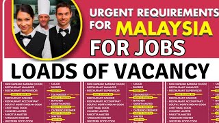 Make Your Career in MALAYSIA  Get your VISA in 25 days and Earn Good Salary [upl. by Daron]