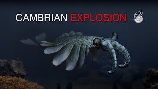 Cambrian Explosion of Animalia [upl. by Zizaludba]