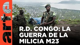 R D Congo la guerra sin fin  ARTEtv Documentales [upl. by Isadore]