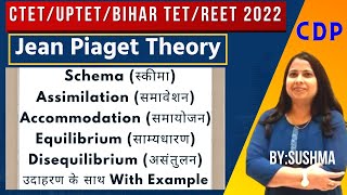 Piaget Schema Assimilation Accommodation Equilibrium Disequilibrium  With Example  CDP [upl. by Graces384]