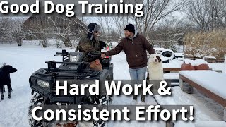 Dog Training Is Simple  Put In The Work And You Will Be Successful [upl. by Germayne]