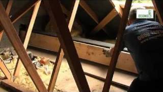 Single Velux Loft Conversion [upl. by Cherilynn]