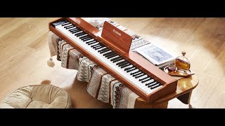 Donner DEP1S Digital Piano Wooden Style [upl. by Airun196]