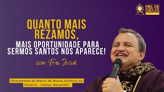 Quanto mais rezamos mais oportunidade para sermos santos nos aparece  Frei Josué [upl. by Einama205]