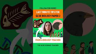 Biology Paper 2 Tips You can do it 👊🍀 [upl. by Iy]