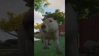 🦁🐼 Planet Zoo🐯🦓 od Kloo🦘 1 short [upl. by Siloam550]