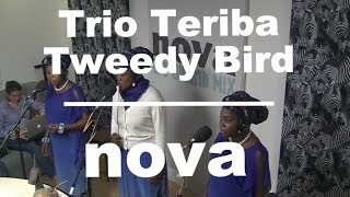 Live Néo Géo  Trio Teriba  Tweedy Bird [upl. by Annoit984]