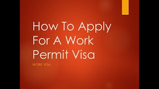 ZEP General Work Permit Visa requirements South Africa 2021 [upl. by Kunkle975]