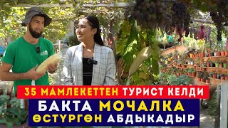 Бакта мочалка өстүргөн Абдыкадыр quotФазендама 35 мамлекеттен турист келдиquot  Сокол Медиа [upl. by Nylaras]