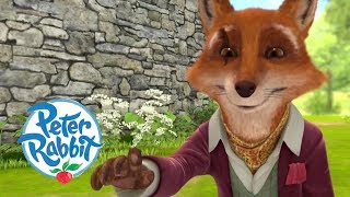 Peter Rabbit  A Very Greedy Fox  30 minutes  Tales with Peter Rabbit [upl. by Xever]