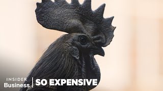 Why Ayam Cemani Chickens Are So Expensive  So Expensive  Insider Business [upl. by Maice]