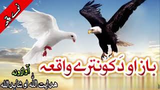 Baz Ao Kontara New Pashto Naat  Raghla Kontara Da Asmana Nabi دہ باز او د کو نترے واقعہ خئستہ نظم [upl. by Eelibuj]