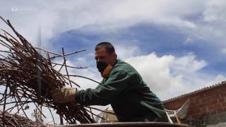 Emprendimiento colombiano para proteger el medio ambiente [upl. by Latsyrc]