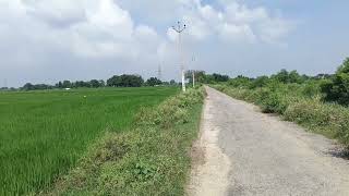 50बीघा जमीन खरीदे केवल ₹130 लाख प्रति बीघा मे agriculture land for sale [upl. by Acinorav95]