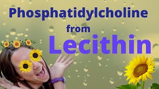 Phosphatidylcholine from Lecithin Brain SUPER Food [upl. by Eedolem]