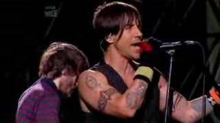 Red Hot Chili Peppers live Reading Festival  Cmon Girl [upl. by Elton]