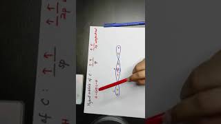 Hybridization in C2H2 molecule [upl. by Leemaj]