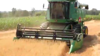 Harvesting Oat Crop [upl. by Innig725]