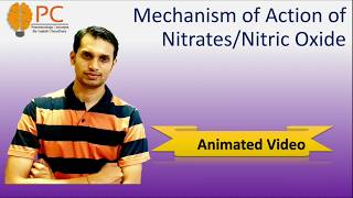 Mechanism of Action of Nitrates amp Nitric oxide  Nitric Oxide  Nitrates [upl. by Horter116]