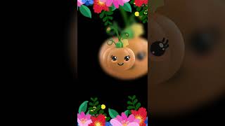 High contrast Baby Sensory Video For Toddlers  Hey Baby Bear Fruit Dance Video [upl. by Eissert]