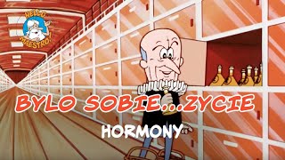 Bylo Sobie Zycie 🌱  Hormony 🧪 [upl. by Secunda356]