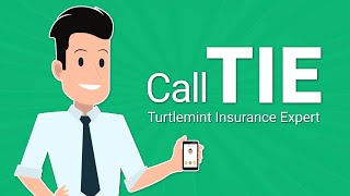 Call TIE Turtlemint Insurance Expert [upl. by Zena327]