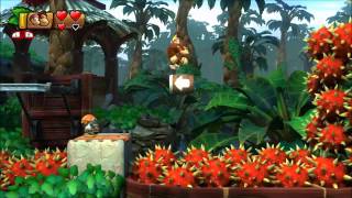 Donkey Kong Country Tropical Freeze  100 Walkthrough  54 Panicky Paddles Secret Exit [upl. by Hurlow]